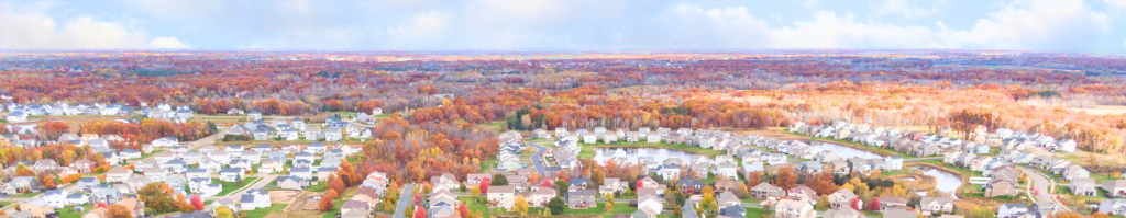 Blaine, MN - City Manager