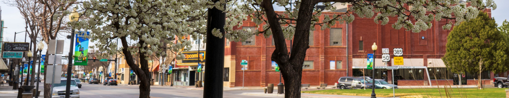 Lamar, CO - City Administrator